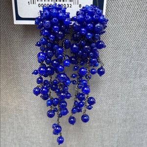 Oscar de la Renta Blue Beaded Earrings